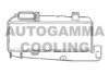 AUTOGAMMA 101489 Intercooler, charger